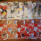 1995-96 Donruss 18Kpl - pikkukuva 1