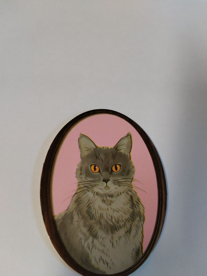Kissa tarra.