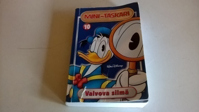 Mini-taskari 10  Valvova silmä