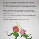Hans Christian Andersen : Keisarin uudet vaatteet - WSOY -05 - pikkukuva 2