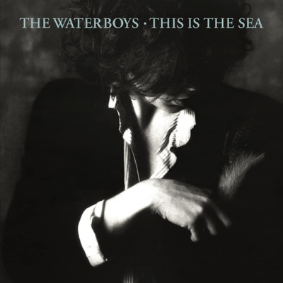 The Waterboys - This Is The Sea CD