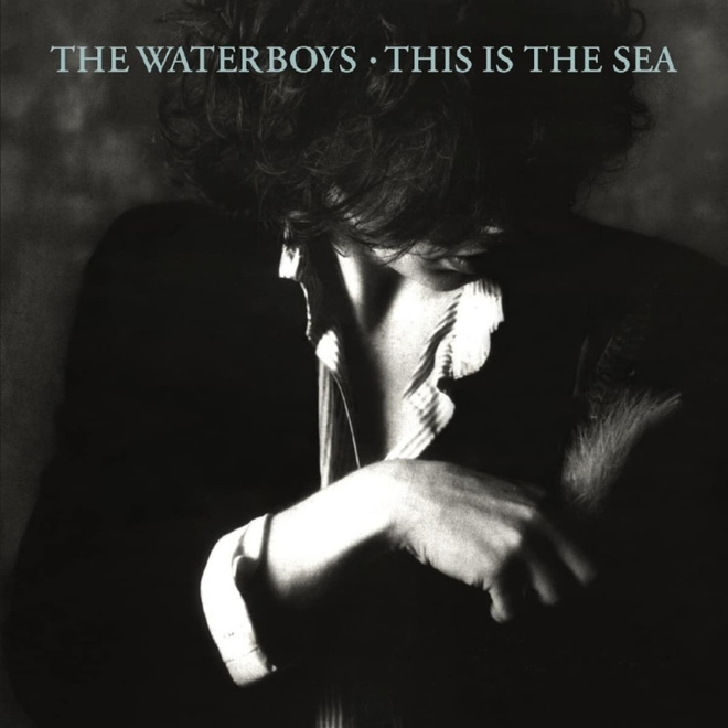 The Waterboys - This Is The Sea CD
