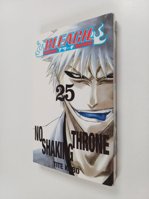Tite Kubo : Bleach, 25 - No shaking throne