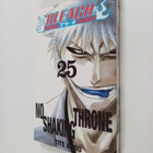 Tite Kubo : Bleach, 25 - No shaking throne - pikkukuva 1