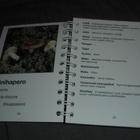 Sienestäjän opas - pikkukuva 2
