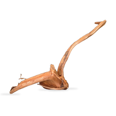 Uniikki akvaariojuurakko 31 cm | 202638
