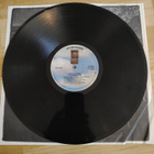 THE DICTATORS : Bloodbrothers - LP - pikkukuva 3
