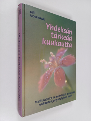 Gilli Moorhawk : Yhdeksän tärkeää kuukautta : meditaatiot...