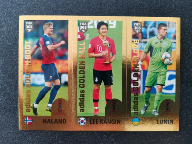 2019 Panini Fifa 365 Haaland Rookie