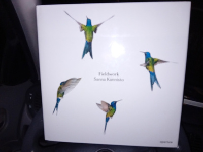 Sanna Kannisto  : Fieldwork ( SIS POSTIKULU  )