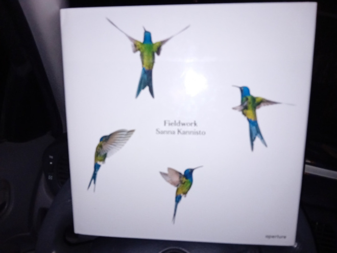 Sanna Kannisto  : Fieldwork ( SIS POSTIKULU  )
