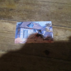 Aristocats Keräilykuva n:o 110 - pikkukuva 1