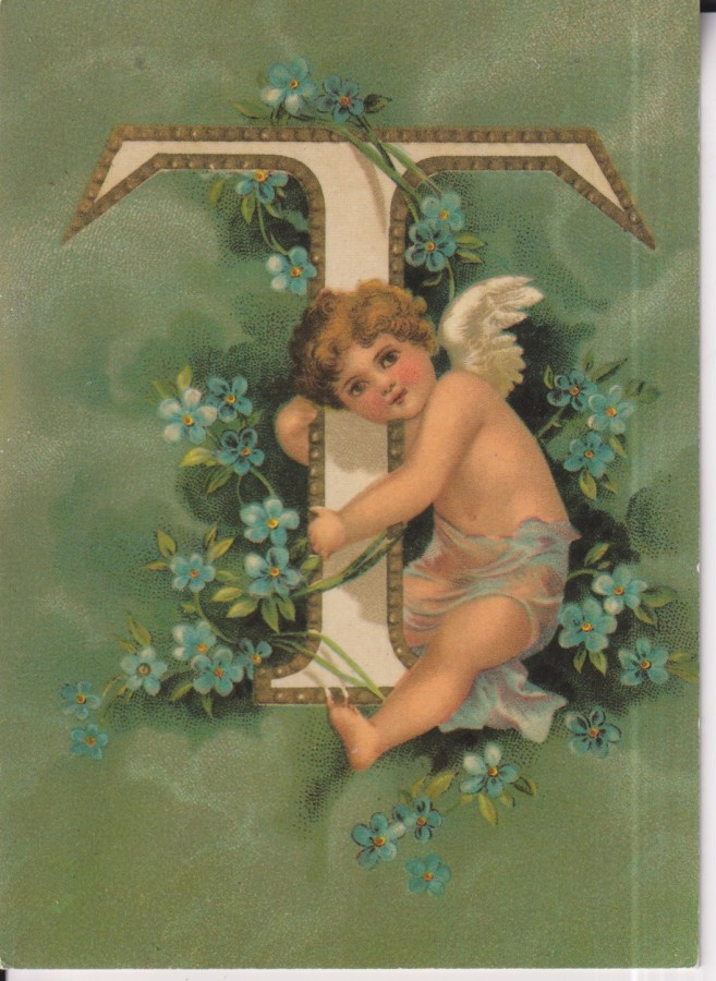 Kirjainkortti ABC: " T " ,enkeli  , e39