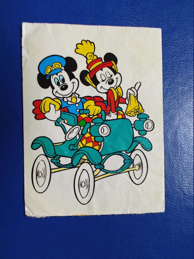 DISNEY TARRAKUVA