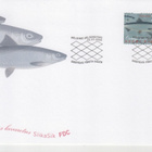 FDC 2000 silakka - pikkukuva 2