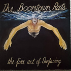 The Boontown Rats  kaksi LP:tä - pikkukuva 1