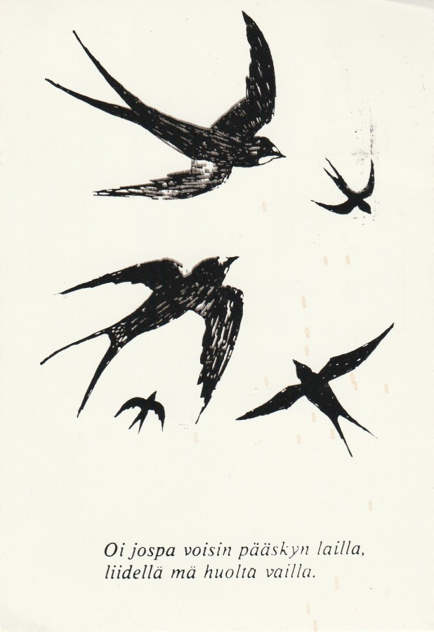 Postikortti, LINNUT, PÄÄSKYSET, Erikoisleima