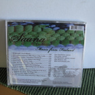 Saana Ensemble:On the Bridge cd(avaamaton) - pikkukuva 2