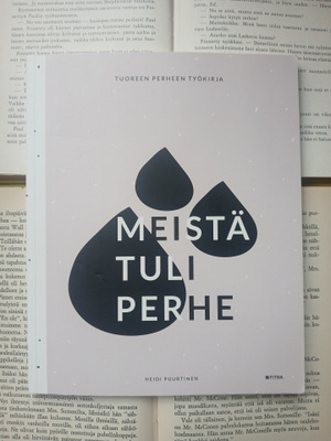 Meistä tuli perhe: tuoreen perheen perhetyökirja (nid.)