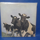 PINK FLOYD - ATOM HEART MOTHER EX+/EX- 4RD PRESS UK -76 LP - pikkukuva 2