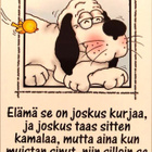kortti ** Ansio Marleena Koira hyvällä tuulella - erilaisia - pikkukuva 2