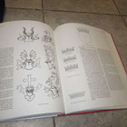 heraldiikan opas - pikkukuva 5