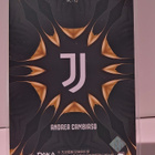 Andrea Cambiaso Juventus Daka - pikkukuva 2