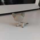 Lps seisovakissa Kukka otsa, AITO - pikkukuva 2