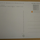 Dora Jung. Finnish Design maksikortti, EP 5.9.2000 - pikkukuva 2