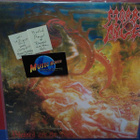 Morbid Angel - Blessed Are The Sick UUSI LP - pikkukuva 1