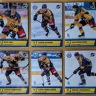2025-26 Blueline Series 2 Lukko Team Set 12 korttia (301-312 - pikkukuva 2