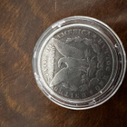 USA Morgan Hopeadollari 1881 (.900 hopea) - pikkukuva 1