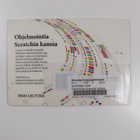 Matti Nelimarkka : Ohjelmointia Scratchin kanssa - pikkukuva 2