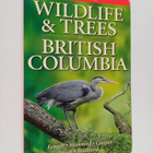 Wildlife & trees in British Columbia - pikkukuva 1