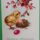 Munia pesässä, tipu ihmettelee lintuja, p. 1928 - pikkukuva 1