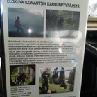 DVD ERÄNKÄYNTIÄ KARHUSALOILLA ( SIS POSTIKULU  ) - pikkukuva 2