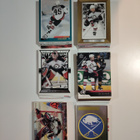 Buffalo Sabres 135kpl - pikkukuva 1