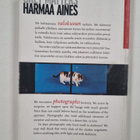 Harri Laakso : Harmaa aines : jälkinäytös = Grey matters ... - pikkukuva 2