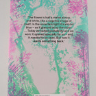 Chris Thorogood : The Pathless Forest - The Quest to Save... - pikkukuva 2