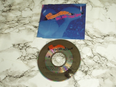 CD Maxi Single The Rembrandts - Don't Hide Your Love