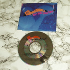 CD Maxi Single The Rembrandts - Don't Hide Your Love - pikkukuva 1