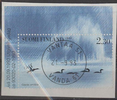 1993 vesilintuja kuikka loisto