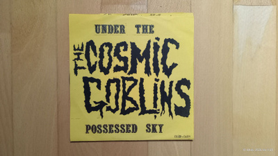 THE COSMIC GOBLINS : Under The Possessed Sky 7"EP (Punk)