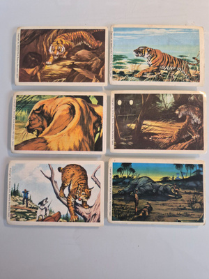Villieläimiä Jenkki (18253)