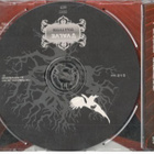 CDS VALVE TULE TYTTÖ - pikkukuva 2