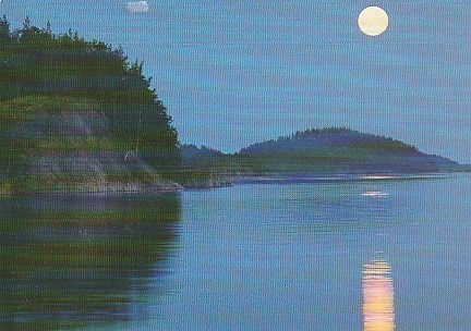 POSTIKORTTI  Suomen luonnonsuojeluliitto, Norppa-tunnus