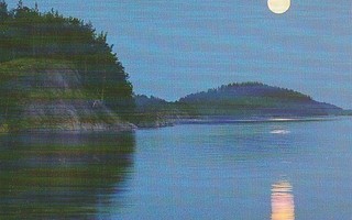 POSTIKORTTI  Suomen luonnonsuojeluliitto, Norppa-tunnus