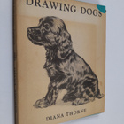 diana thorne : Drawing dogs - pikkukuva 1