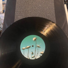 The Creatures: Boomerang 1989 LP Siouxsie - pikkukuva 3