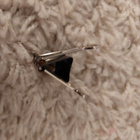Puristin 2,5 cm - pikkukuva 2